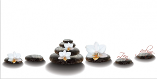 Ecosun 600 GS s potiskem Stones&Orchids